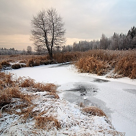 фотограф Андрей Марцинкевич. Фотография "Река Полота в декабре"
