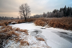 Река Полота в декабре | Фотограф Андрей Марцинкевич | foto.by фото.бай