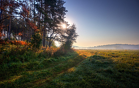 Утро | Фотограф Сергей Шабуневич | foto.by фото.бай