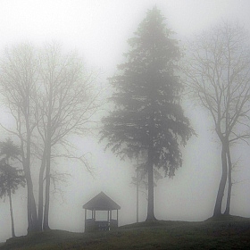 фотограф Николай Климович. Фотография "В тумане"