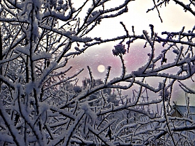 Луна зимой | Фотограф Anna Pet | foto.by фото.бай