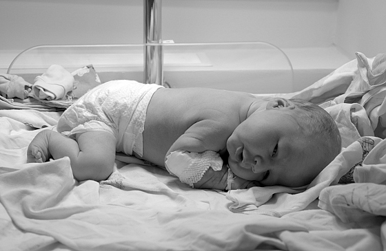 Фотограф Надежда Дудаева, фотография добавлена 06.02.2026