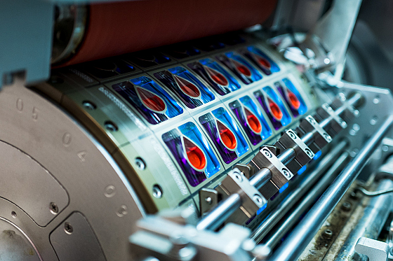 Фотограф Катерина Сиводедова, фотография добавлена 16.04.2026