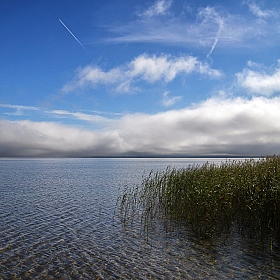 фотограф Юлия Войнич. Фотография "Туманность над озером"