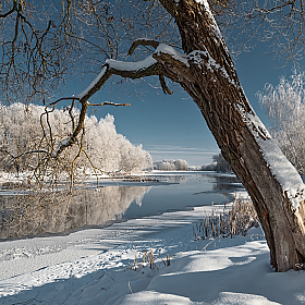 фотограф Виктор Босак. Фотография "Зима на Мухавце"