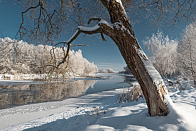 Зима на Мухавце | Фотограф Виктор Босак | foto.by фото.бай
