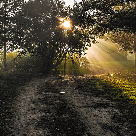 фотограф Вiктар Стрыбук. Фотография "Утро, солнце и туман 2"