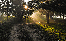 Утро, солнце и туман 2 | Фотограф Вiктар Стрыбук | foto.by фото.бай
