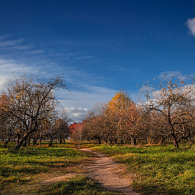 Осень в саду | Фотограф Сергей Шабуневич | foto.by фото.бай
