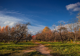 Осень в саду | Фотограф Сергей Шабуневич | foto.by фото.бай