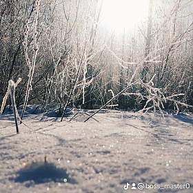 Зимний вечер | Фотограф Александр Мельниченко | foto.by фото.бай