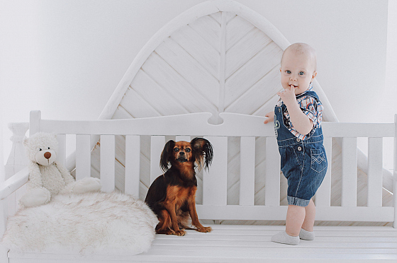 Фотограф Дмитрий Гусалов, фотография добавлена 04.04.2022