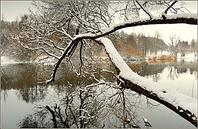 воспоминание о зиме 2 | Фотограф Игорь Сафонов | foto.by фото.бай