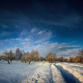 зимний сад | foto.by фото.бай