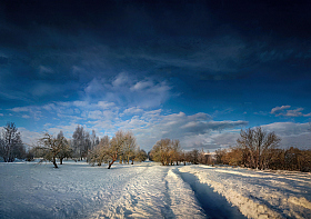 зимний сад | Фотограф Сергей Шабуневич | foto.by фото.бай