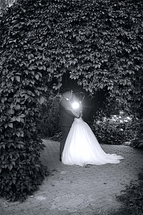 Работа фотографа Надежда Володько