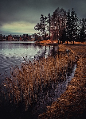 Осенний мотив | Фотограф Alexandr Chikiliou | foto.by фото.бай