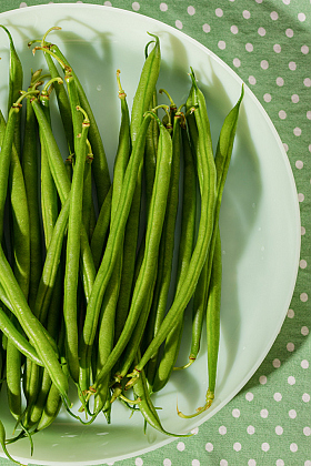 Работа фотографа Надежда Кулик