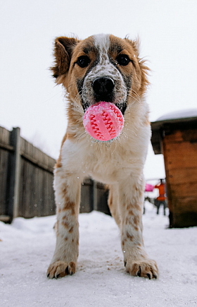 Работа фотографа Дмитрий Гусалов