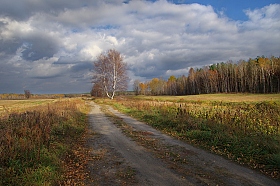 Осенние контрасты | Фотограф Сергей Шляга | foto.by фото.бай