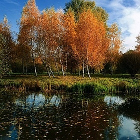 фотограф Себастьян Перейра. Фотография "Осень"