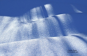 Снежный каскад | Фотограф Владислав Рогалев | foto.by фото.бай