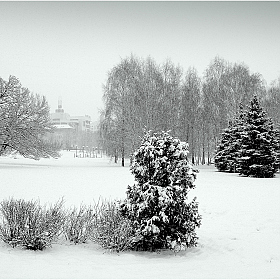 снег,снег, снег....* | Фотограф Игорь Сафонов | foto.by фото.бай