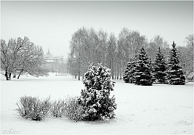 снег,снег, снег....* | Фотограф Игорь Сафонов | foto.by фото.бай