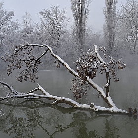 фотограф Александр Плеханов. Фотография "Холодное утро"