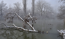 Холодное утро | Фотограф Александр Плеханов | foto.by фото.бай