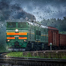 фотограф Алексей Румянцев. Фотография "В дождь"