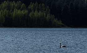 Loch-Ness па-Беларуску. | Фотограф Глеб Латышевич | foto.by фото.бай