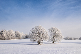 А за городом зима, зима, зима | Фотограф Ольга Максимова | foto.by фото.бай