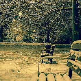 Зима | Фотограф Dzmitry | foto.by фото.бай