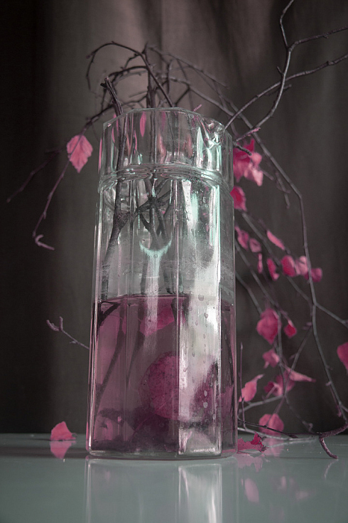 Фотограф Павел Есипенко, фотография добавлена 02.01.2026