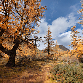 На пути к Куектанарам | Фотограф Ольга Максимова | foto.by фото.бай