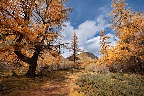 На пути к Куектанарам | Фотограф Ольга Максимова | foto.by фото.бай