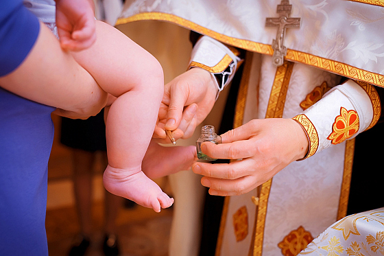 Фотограф Ольга Стригельская, фотография добавлена 14.06.2018