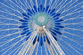 Железный цветок | foto.by фото.бай