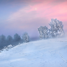 Волшебство зимы | Фотограф Сергей Шабуневич | foto.by фото.бай