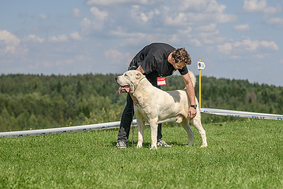 Фотограф Сергей Клеменок, фотография добавлена 17.02.2026