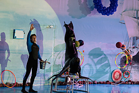 Работа фотографа Сергей Тарасов