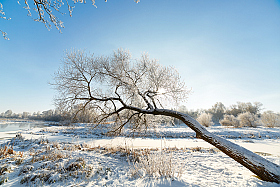 Зима | Фотограф Alexander Bykovski | foto.by фото.бай