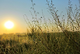 Солнце встает. | Фотограф Сергей Краенков | foto.by фото.бай