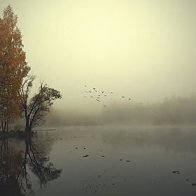 фотограф  . Фотография "Осенний полет"