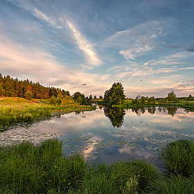 вечер у тихой заводи | Фотограф Виталий Полуэктов | foto.by фото.бай