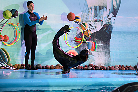 Работа фотографа Сергей Тарасов