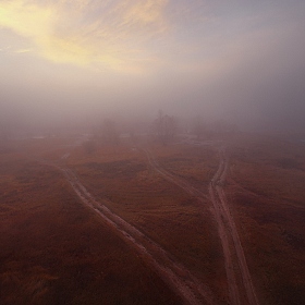 Туманный рассвет | Фотограф Сергей Шляга | foto.by фото.бай