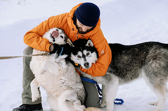 Фотограф Дмитрий Гусалов, фотография добавлена 18.02.2026