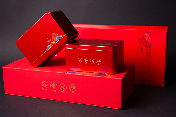 Фотограф Жасмина Германова, фотография добавлена 25.10.2025